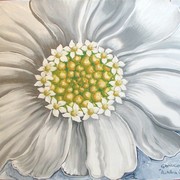 75b6_10_card