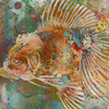 Goldfish_thumb