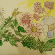 Kayla_s_river_card