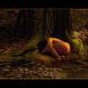Pict2751staredrzewosenmale_thumb