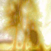 Aaab_card