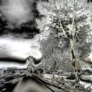 Sogno_onirico_n4_card