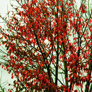 Dsc_1861_card