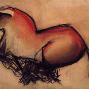 Toro_rojo_card
