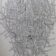 Img_2263_fixed_card