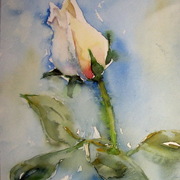 Ruza_card