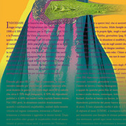 Casta_copia1rgb_card
