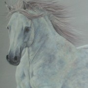 Horses_for_web_027_card
