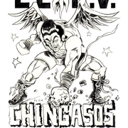Elcc_raul2008_card