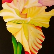 Flower_of_the_moment_1_card