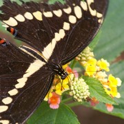 100_0678_card
