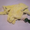 100_1752_thumb