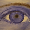 Artwork_-_taken_7