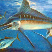 P7020203_card