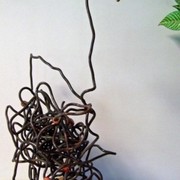 Bird2_card
