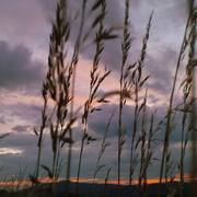 Zmiana_rozmiarudsc02744-1_card