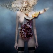 Lunacy_mutilation_card