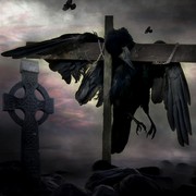 Thy_raven_wings_card
