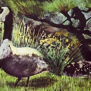 Botanical_garden_goose_card