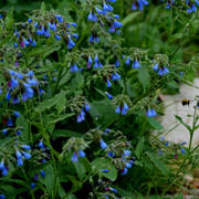 Img_5053ab_card