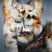 Psycho_bunny_card