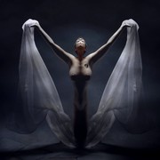 Into_the_light_card