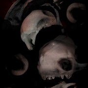 Melting_card