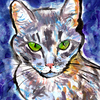 Monotype_chat_img167_thumb
