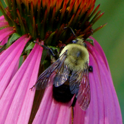 Dsc03125ab2b_edited-1_card