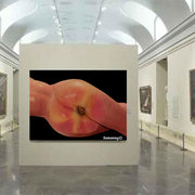 Bodegon_card