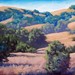 California_golden_hills_square