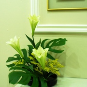 Imagem_011_card