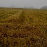 Landcapes1_01_card