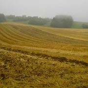 Landcapes1_08_card