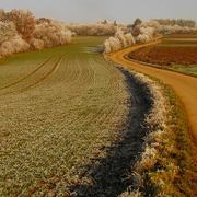 Landcapes1_05_card
