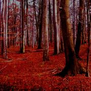 Landcapes1_04_card