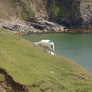 Sligo_donegal_625_card