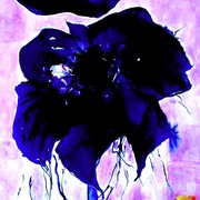 Orchid_card