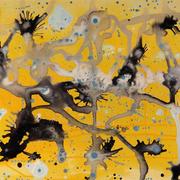Yellow_grey