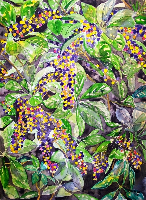 Berries_medium_inset