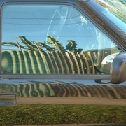 Reflection_of_the_stockade_guard
