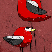 Birds_card