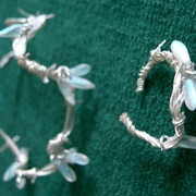 Cimg0486_card