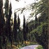 In_the_park_thumb