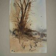 Dry_stone_wall_and_tree_study_card