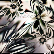 2flybynight_lg_card