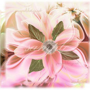 Lotusposition_jpg_card