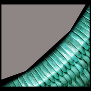 M8_card