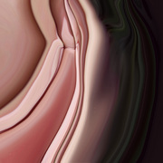 Inner_skins_2_card