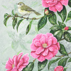 Chiffchaff-and-camelia_thumb
